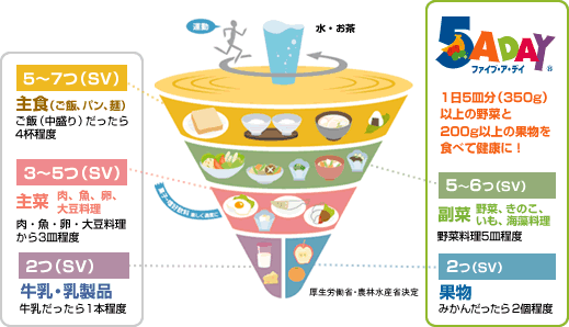 食事バランスガイド