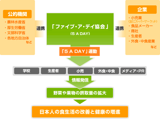 5 a dayの役割 ファイブ ア デイ協会