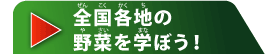 全国各地の野菜を学ぼう