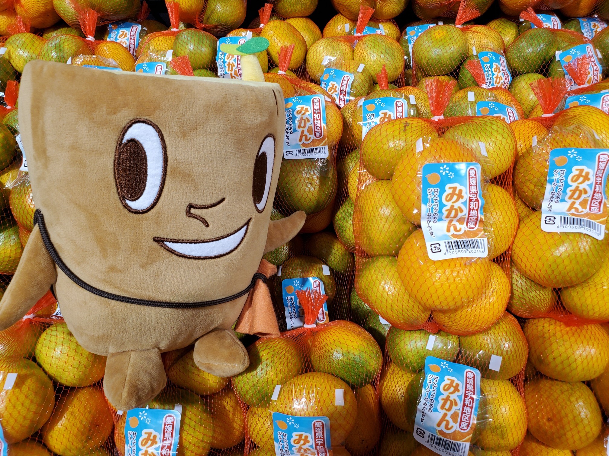 5 A DAY ブログ一覧｜ファイブ・ア・デイ協会