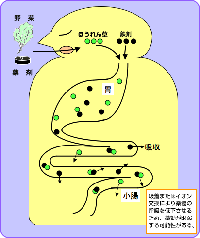 薬に結合することにより薬の吸収量を変化させる 野菜 果物を摂取するときの注意 V350f0 Com 薬に結合することにより薬の吸収量を変化させる 野菜 果物を摂取するときの注意 V350f0 Com