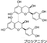化学式:プロシアニジン