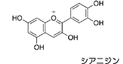 化学式:シアニジン